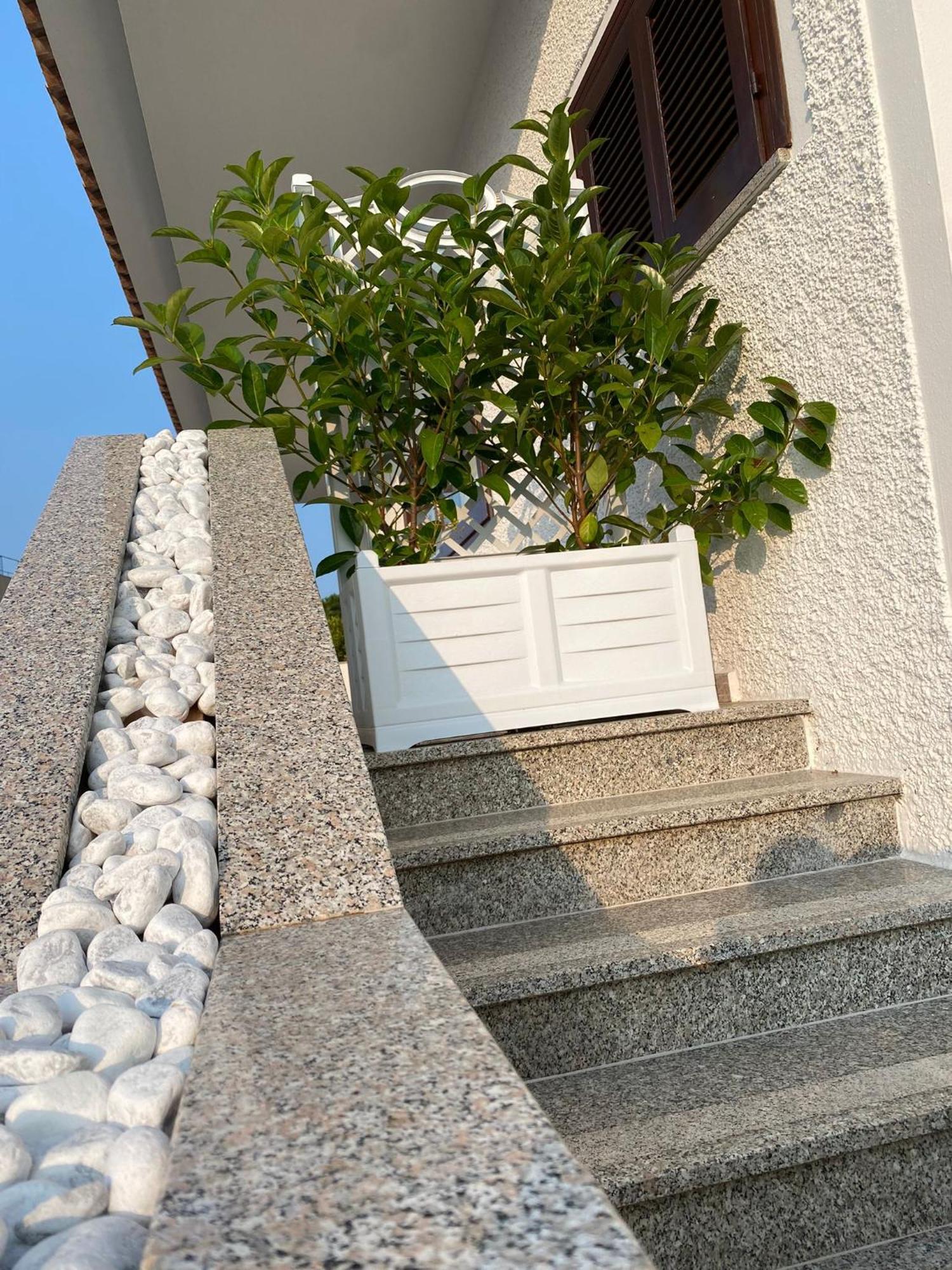 אולביה Villa Da Rosa מראה חיצוני תמונה