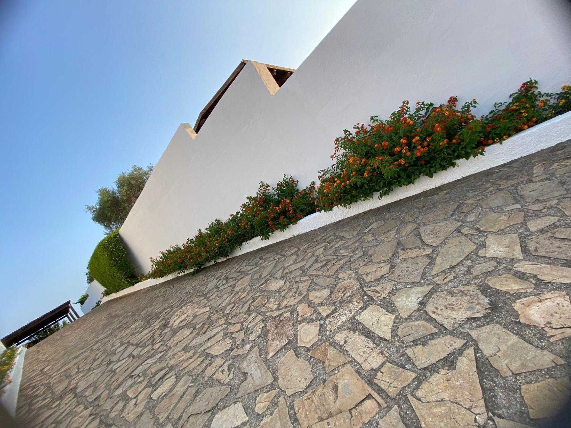 אולביה Villa Da Rosa מראה חיצוני תמונה